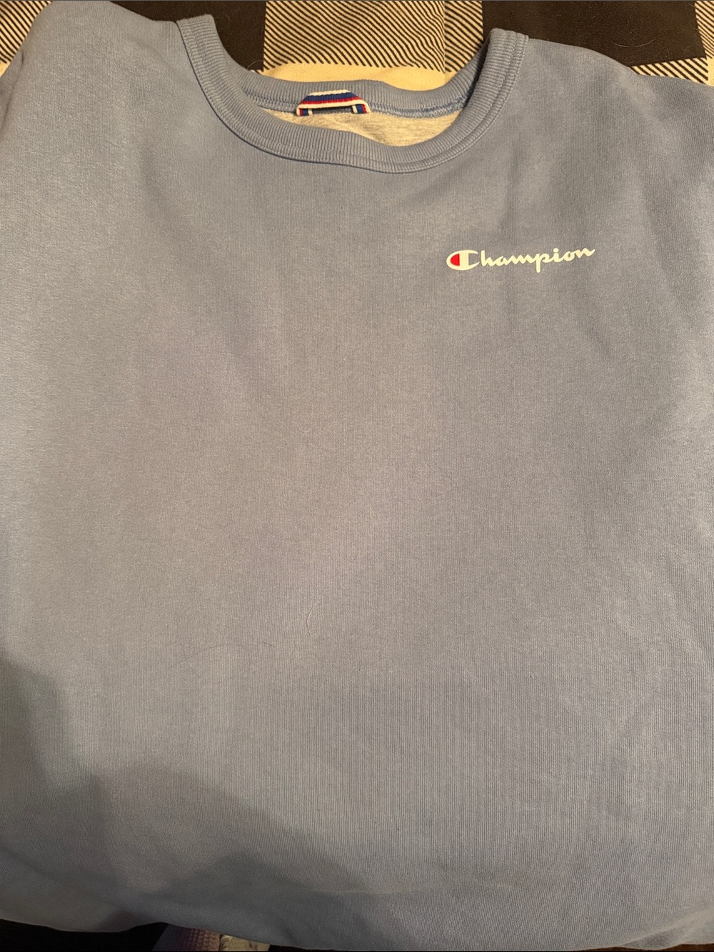 Champion Crewneck Sweatshirt in Dusty Blue